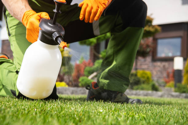 Best Commercial Pest Control Services  in Manchester, IA