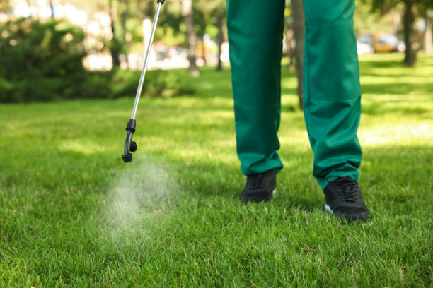 Best Local Pest Control Services  in Manchester, IA