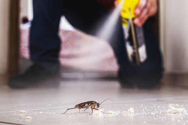  Manchester, IA Pest Control Pros